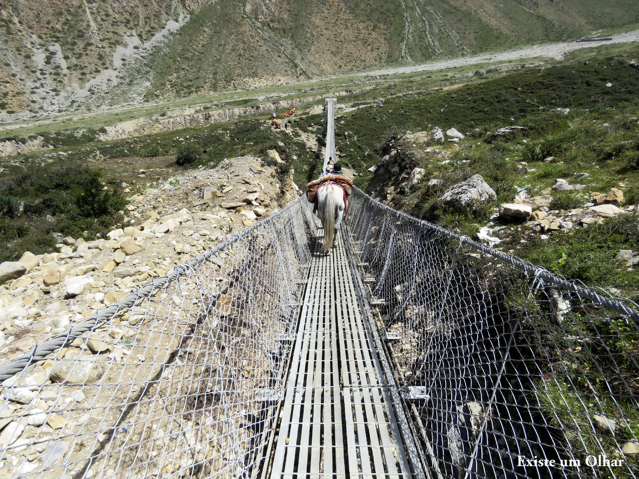 ponte ponte