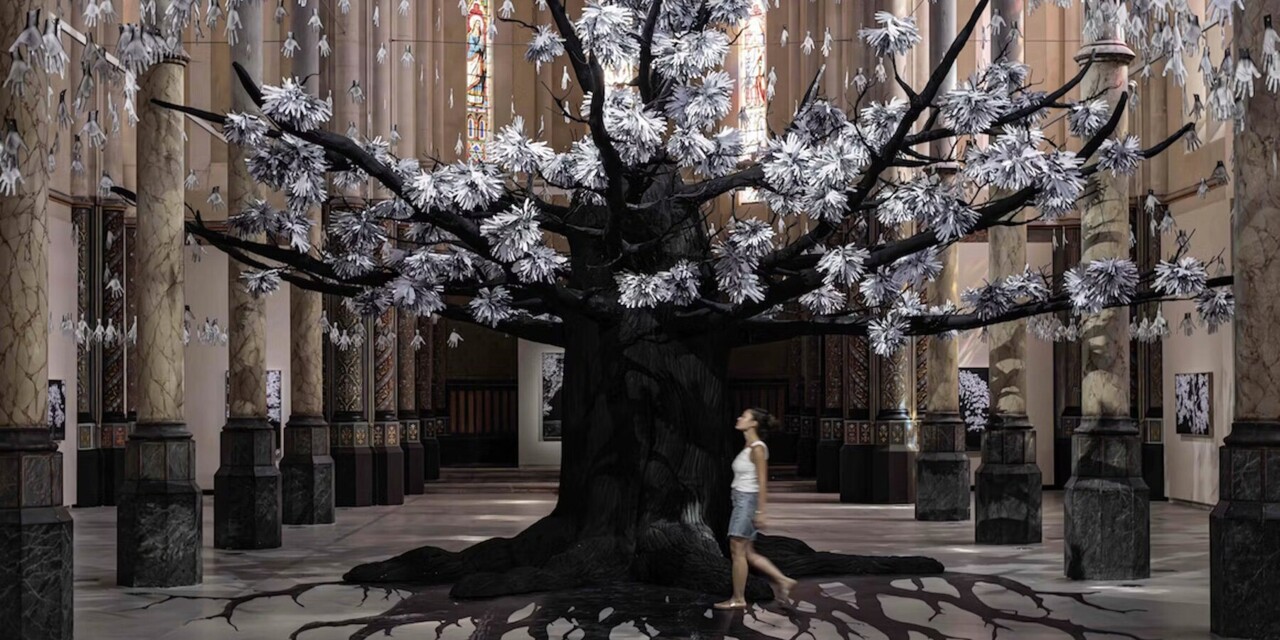 imgi_42_participatory-tree-scanned-hands-jr-montpe