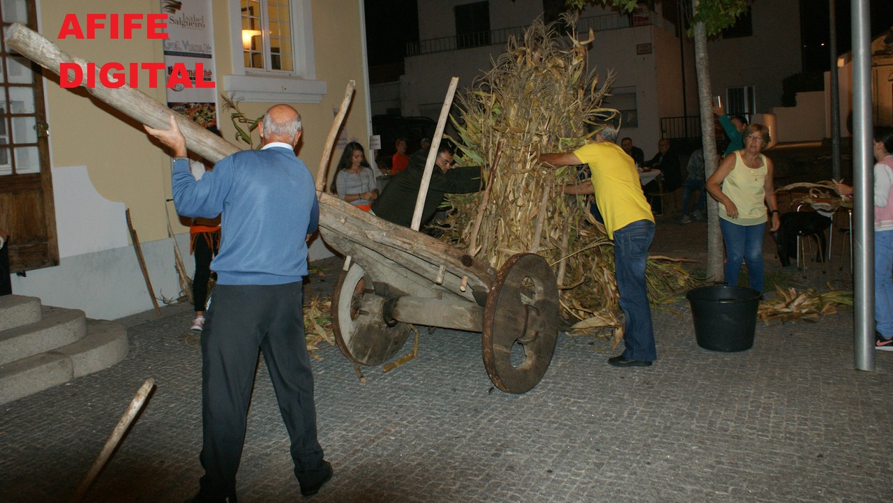 DSC09184.JPG