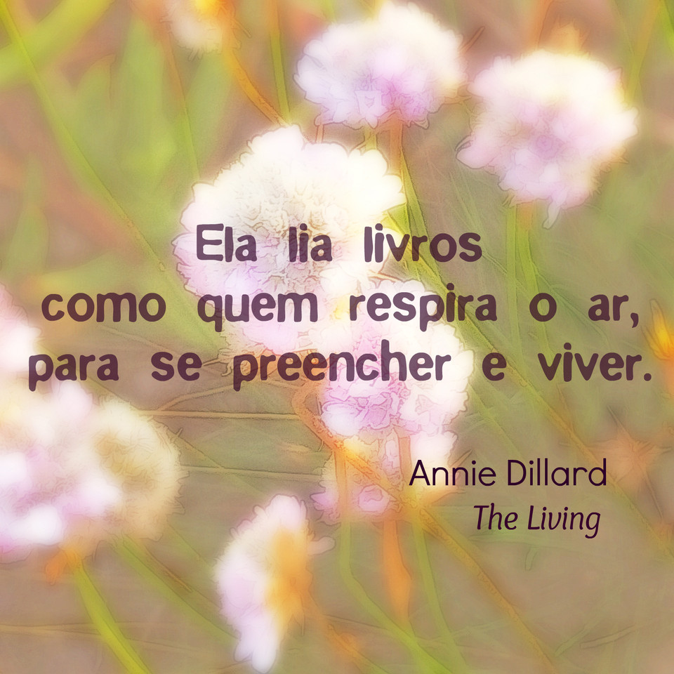 Entre aspas #10 Annie Dillard.jpg Entre aspas #10 Annie Dillard.jpg