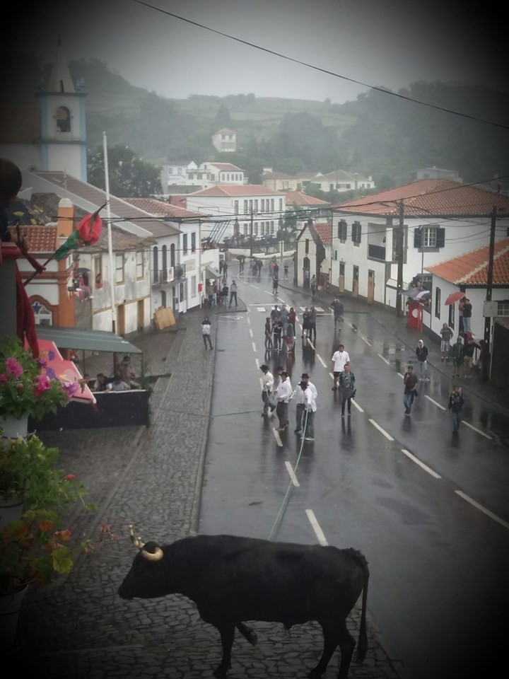 toiros posto santo 1.jpg