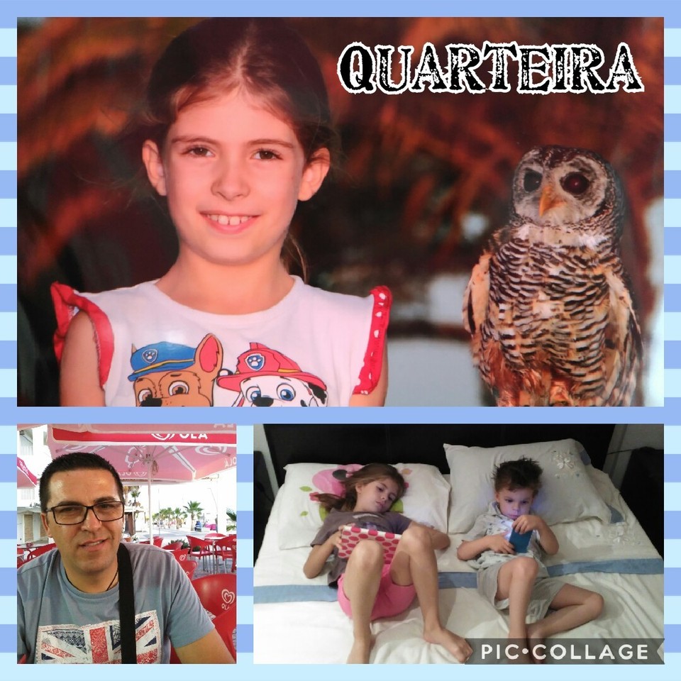 Collage 2017-06-23 00_35_18.jpg Collage 2017-06-23 00_35_18.jpg