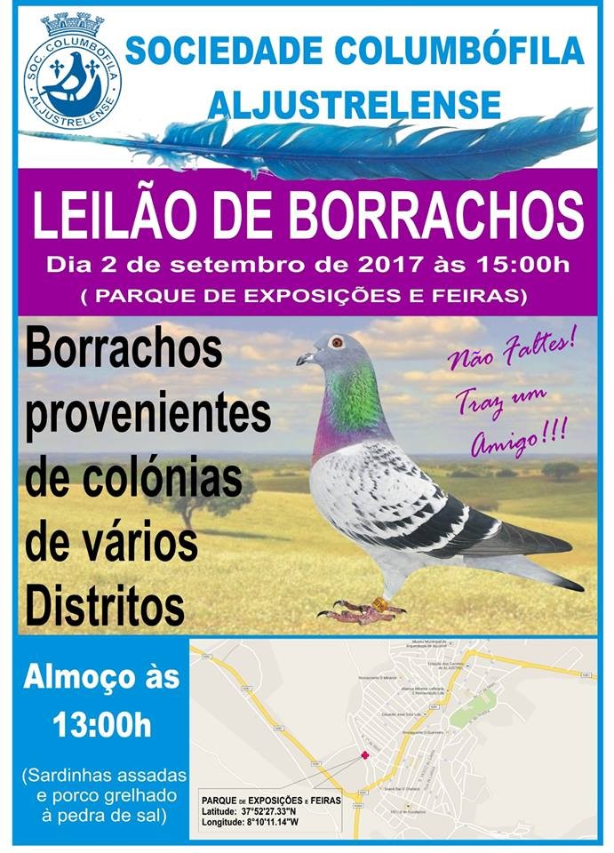 Leilão Aljustrel.jpg