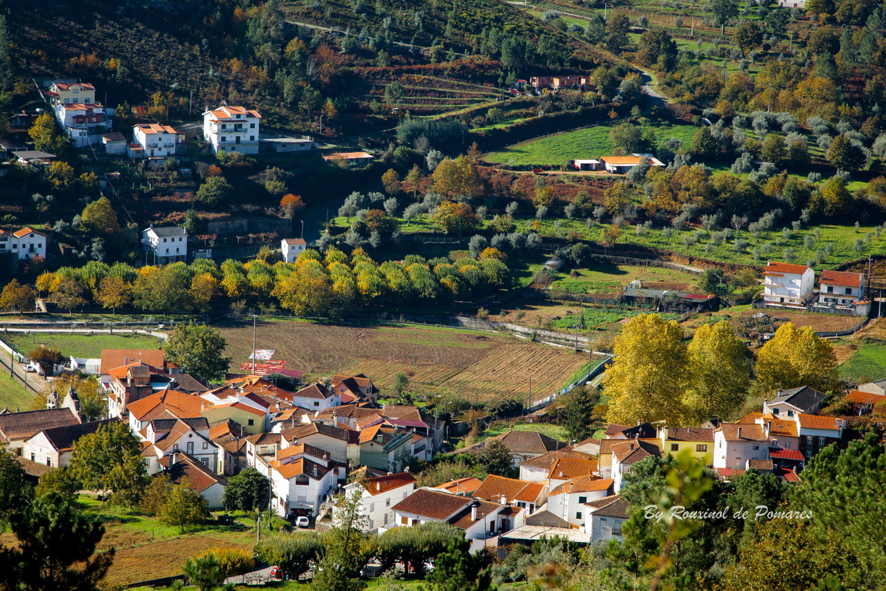Outono em Pomares (9).JPG