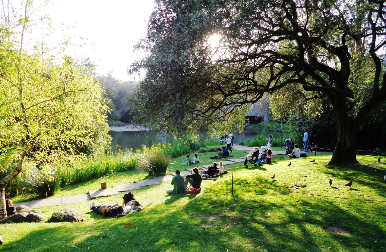jardim_da_fundacao_calouste_gulbenkian_foto_joao_p
