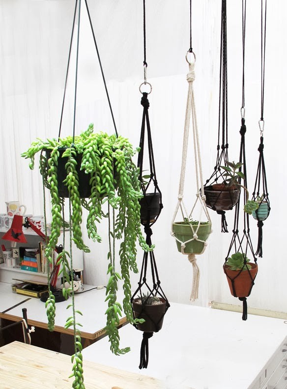 hanging-garden2.jpg