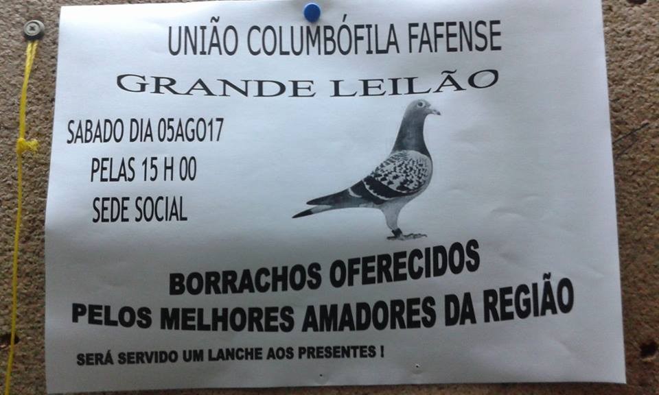 Leilão Fafe.jpg