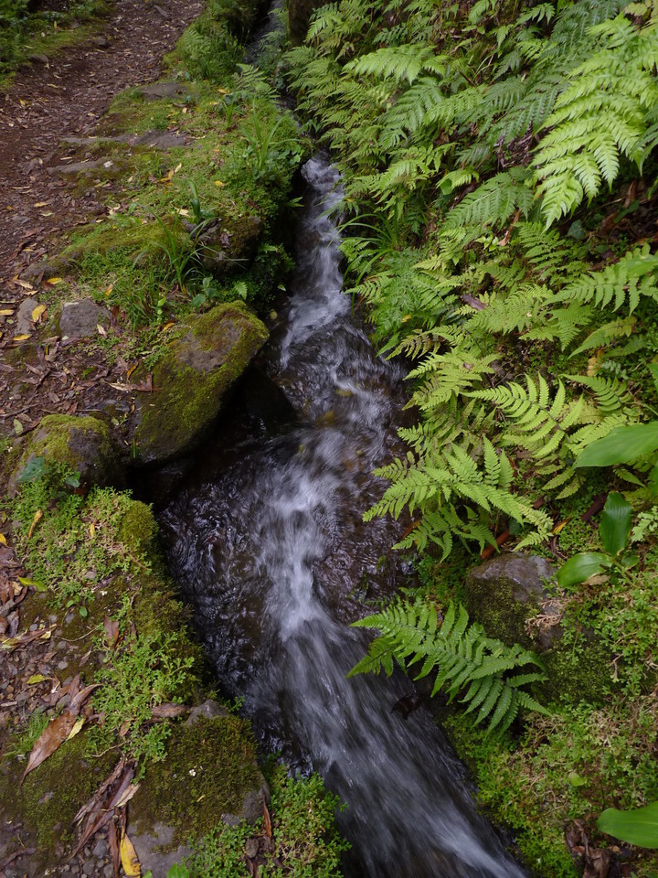 Percurso até ao Poço da Ribeira do Ferreiro - Il Percurso até ao Poço da Ribeira do Ferreiro - Il