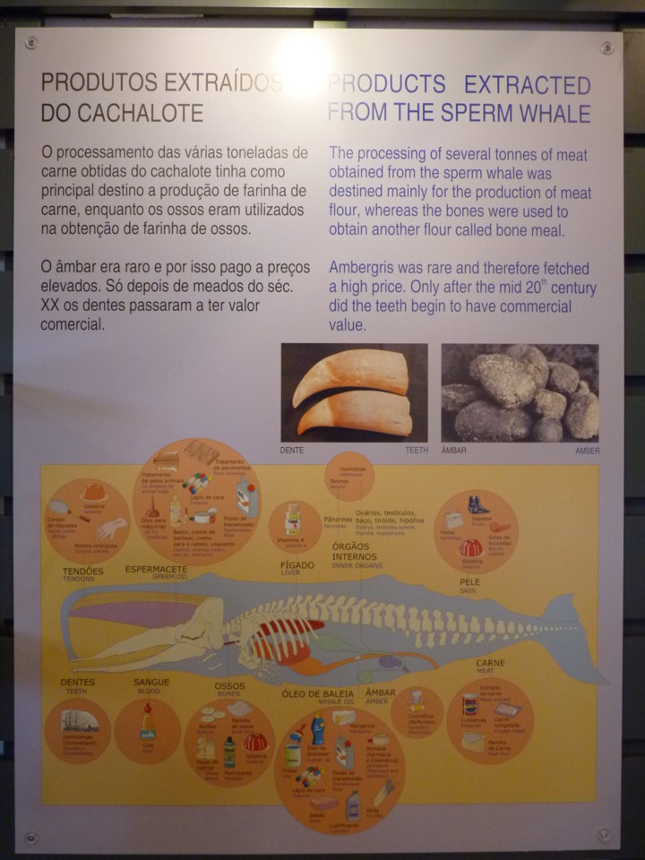 Museu da Fábrica da Baleia do Boqueirão 8.JPG