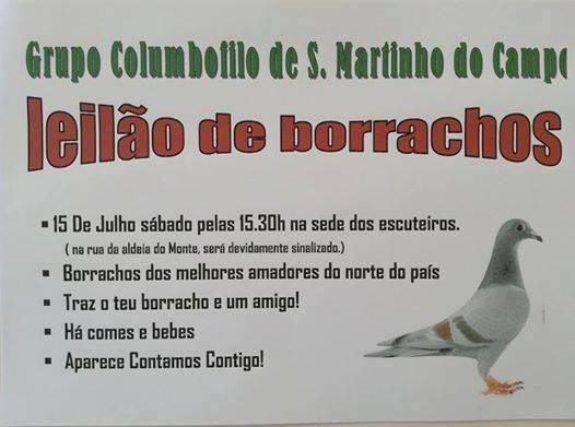 Leilão S.Martinho Campo.jpg