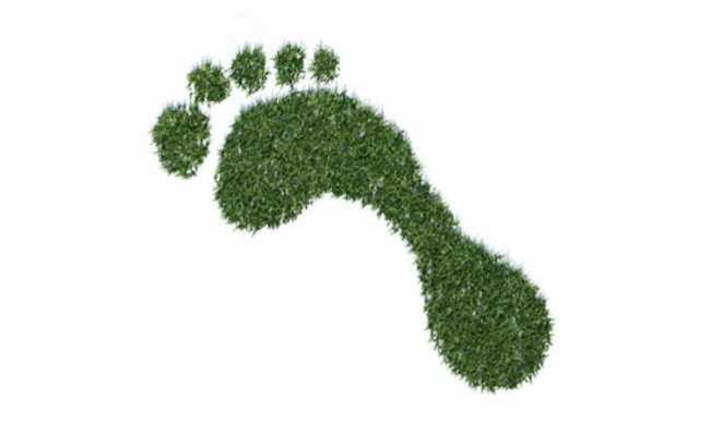 Um Pegada mais Verde