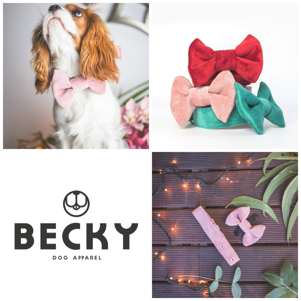 Becky dog_coleira_laco.jpg