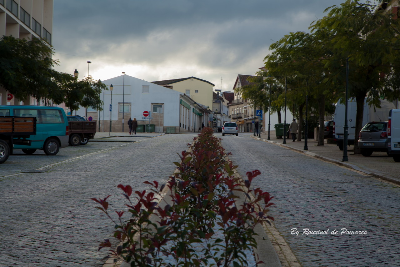 Outono em Murça (11).JPG