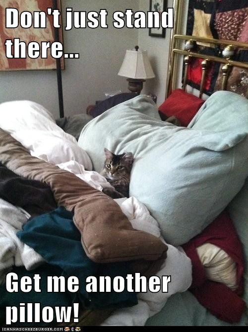 another-pillow.jpg