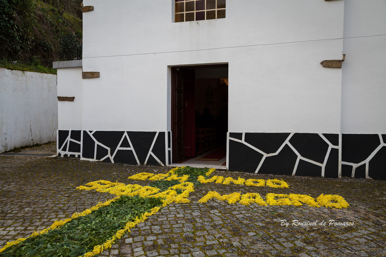 Visita do Sr. Bispo (21)-80.JPG