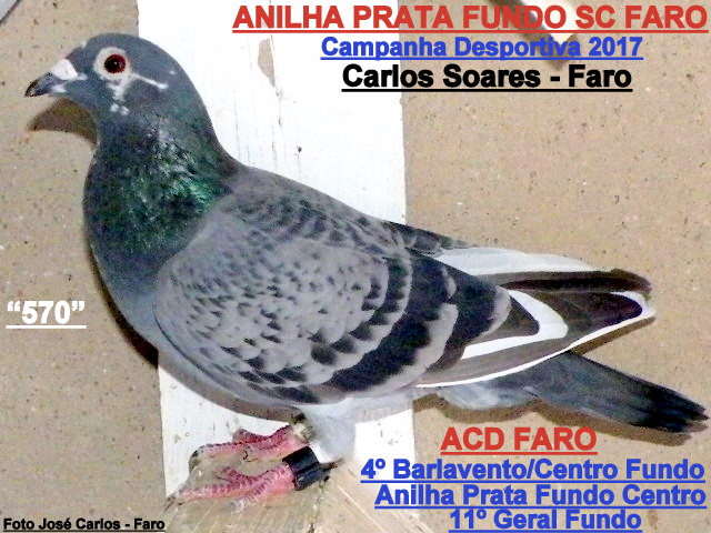 Carlos Soares - Faro 003.JPG