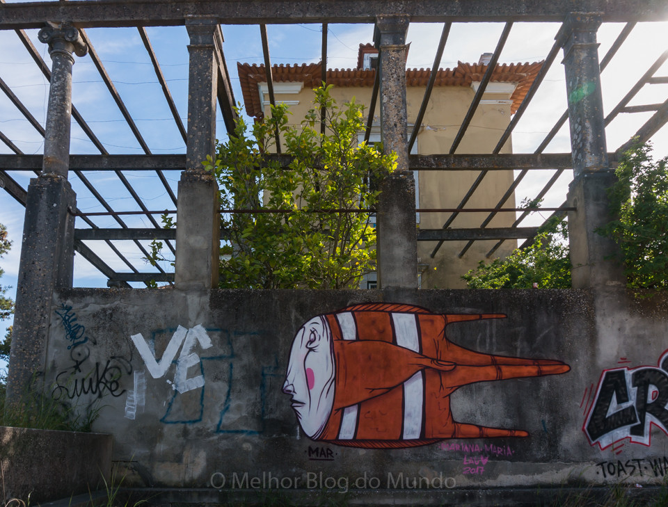 DSC09396.jpg