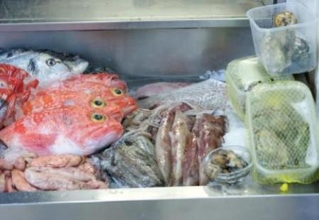 sr_peixe_027.jpg