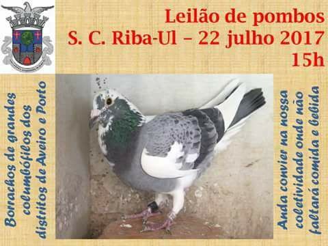 Leilão Riba-Ul.jpg