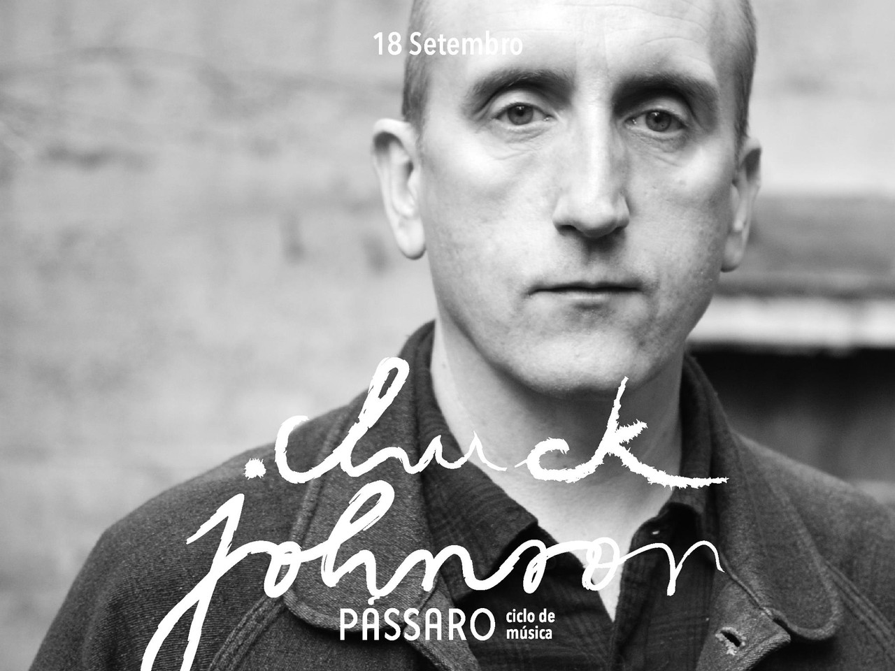 passaro-1.jpg