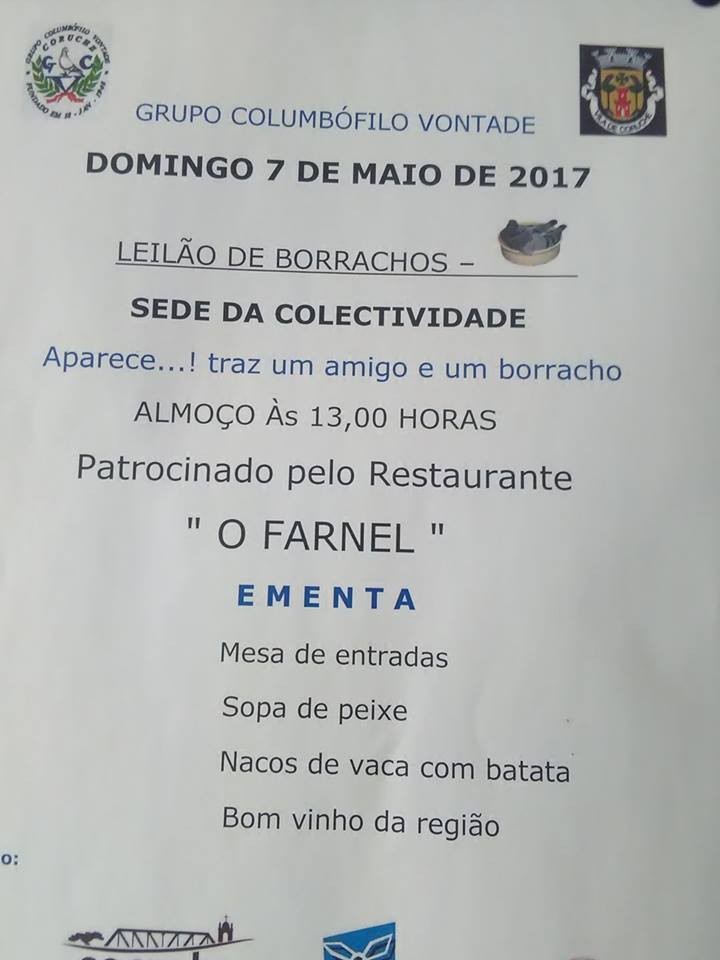 Leilão Vontade.jpg