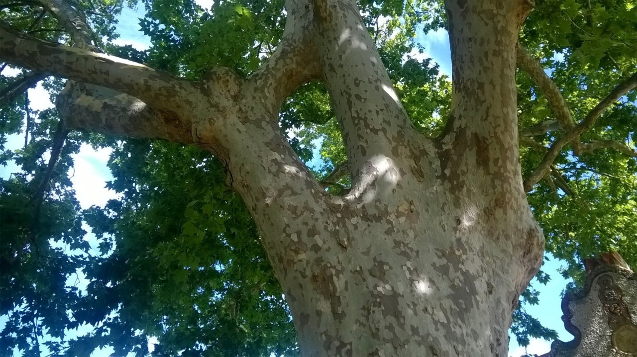 WP_20190608_10_26_19_Pro.jpg