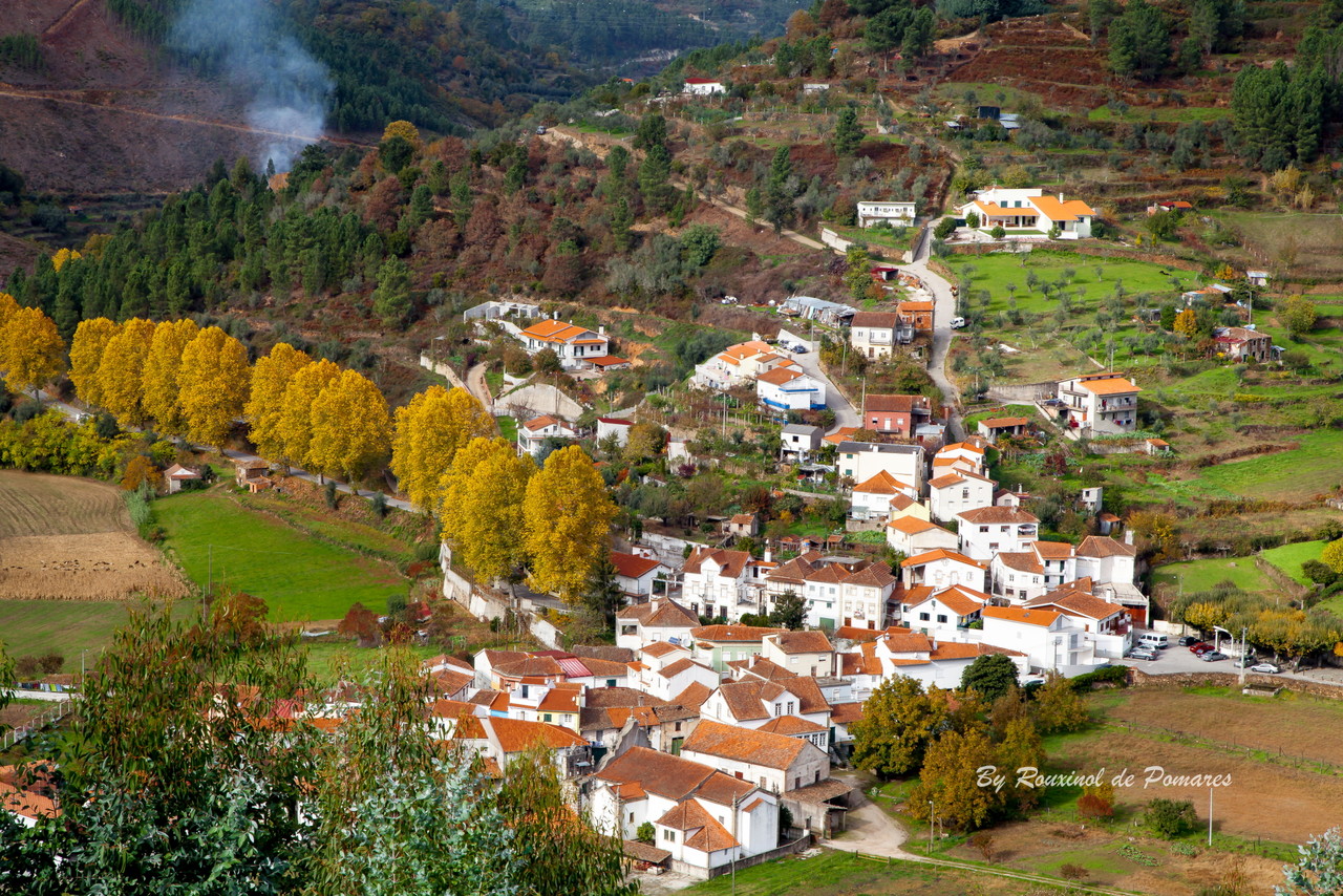 Outono em Pomares (12).JPG