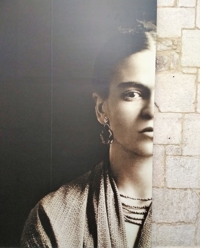 Frida Kahlo - As Suas Fotografias