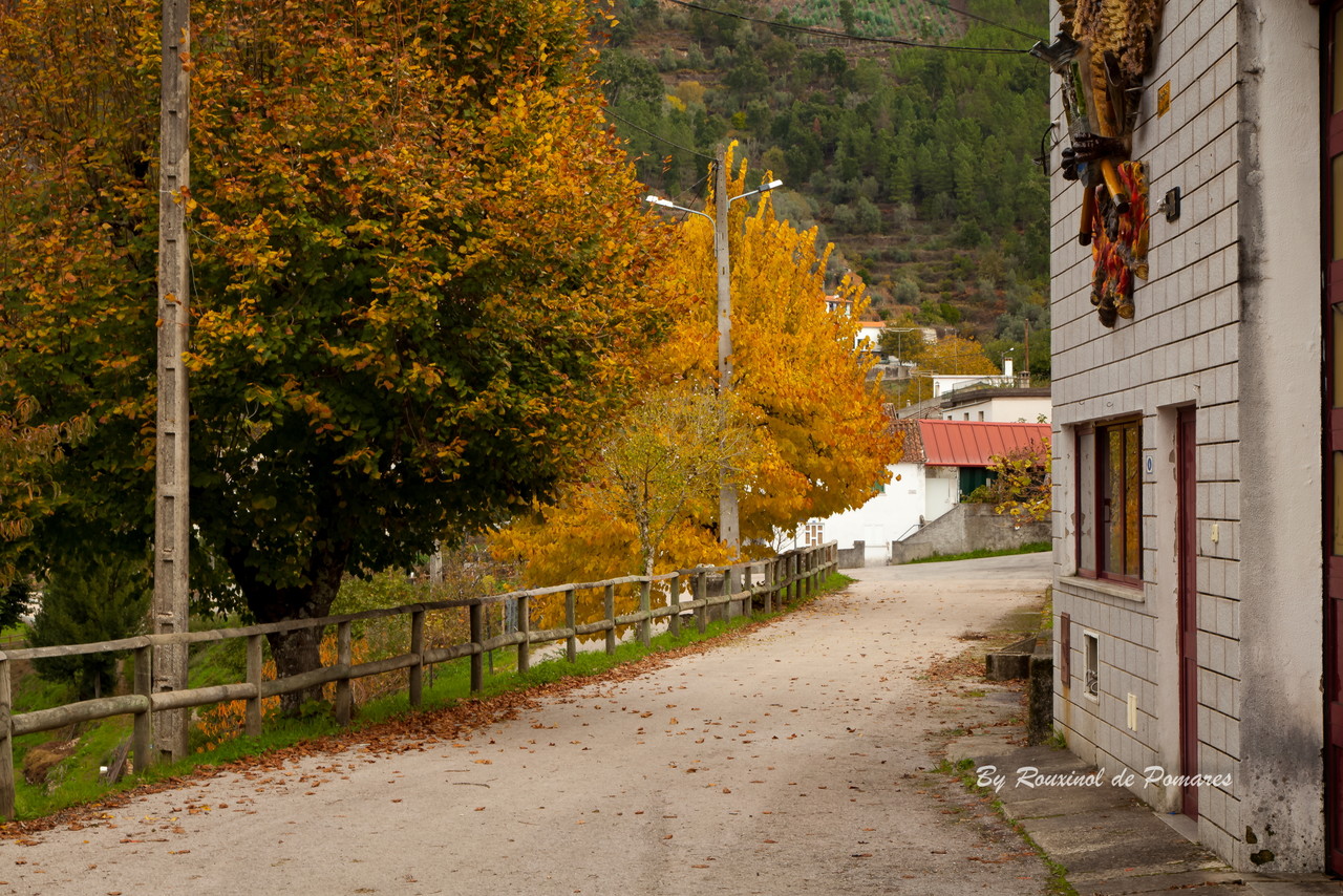 Outono em Pomares (8).JPG