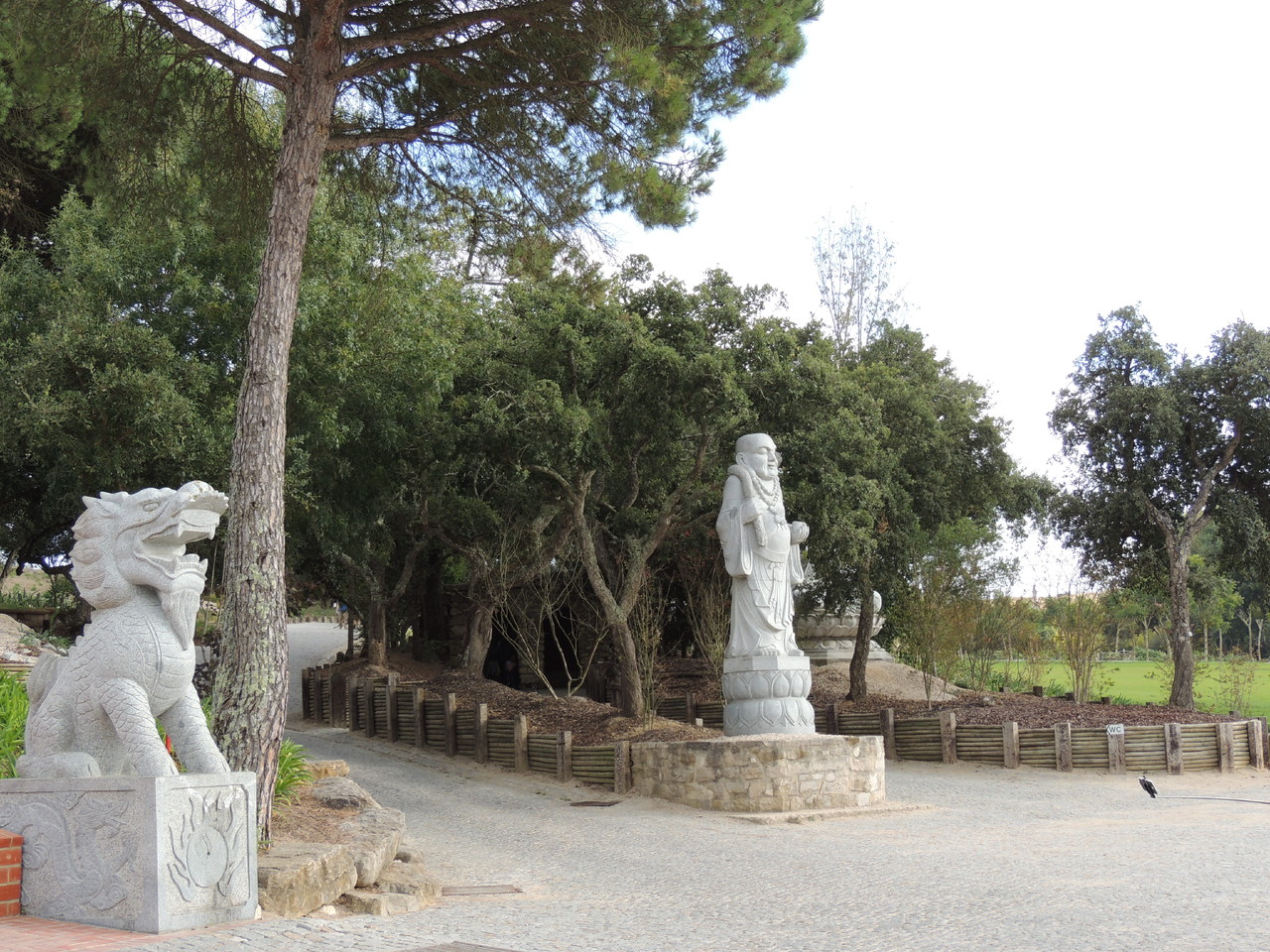 DSCN6509.JPG