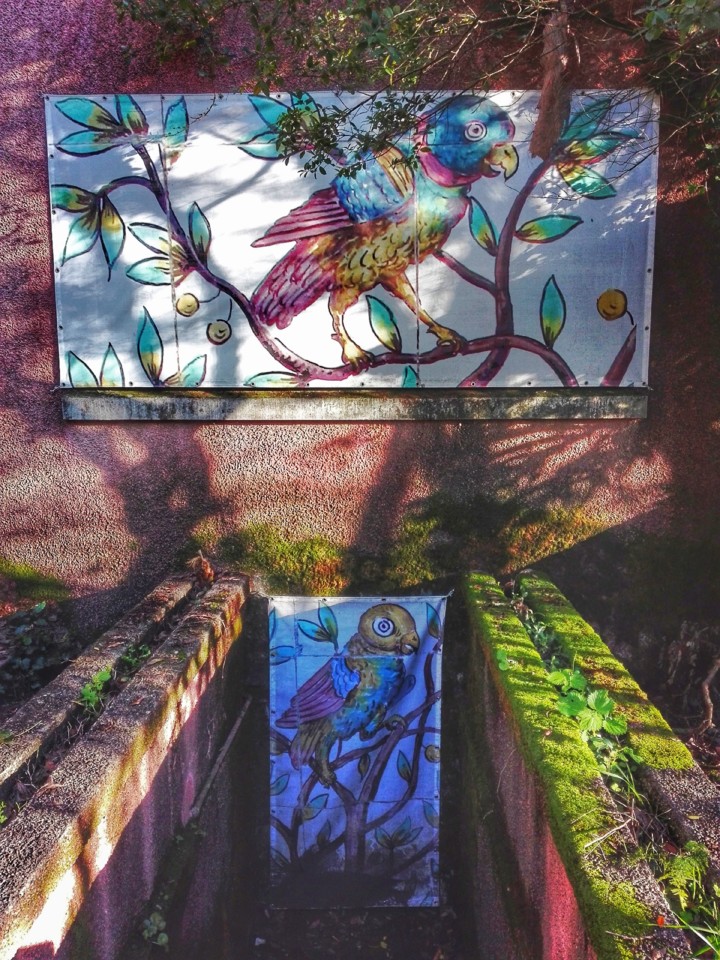 jardim tropical belem (20).jpg