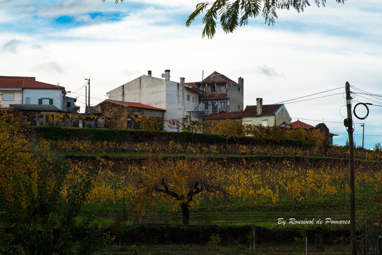 Outono em Murça (10).JPG