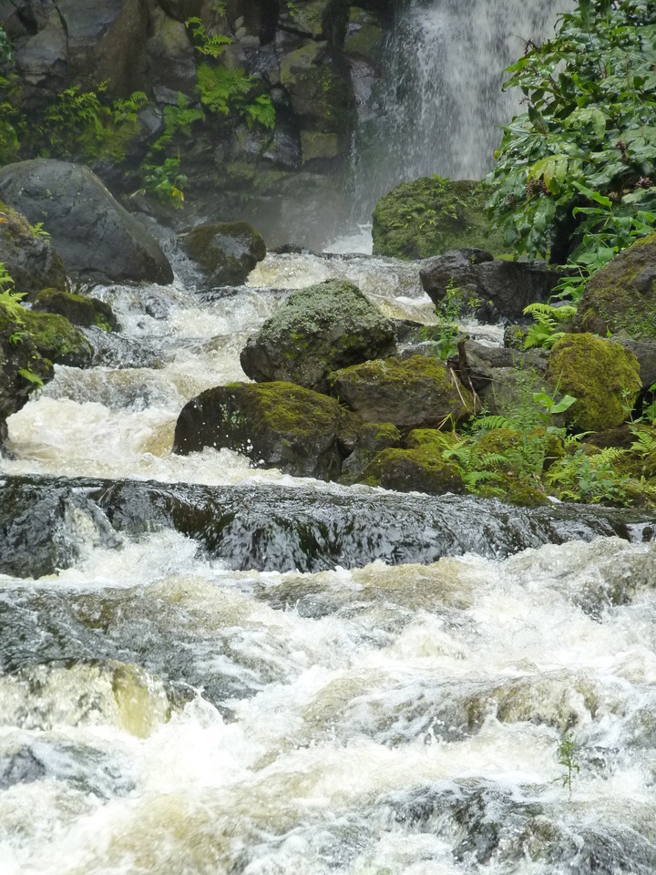 Ribeira do Ferreiro - Ilha das Flores - Açores (5 Ribeira do Ferreiro - Ilha das Flores - Açores (5