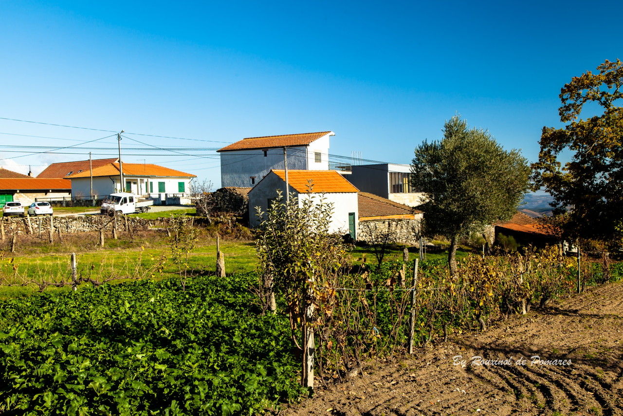 Outono no Fiolhoso (005).JPG