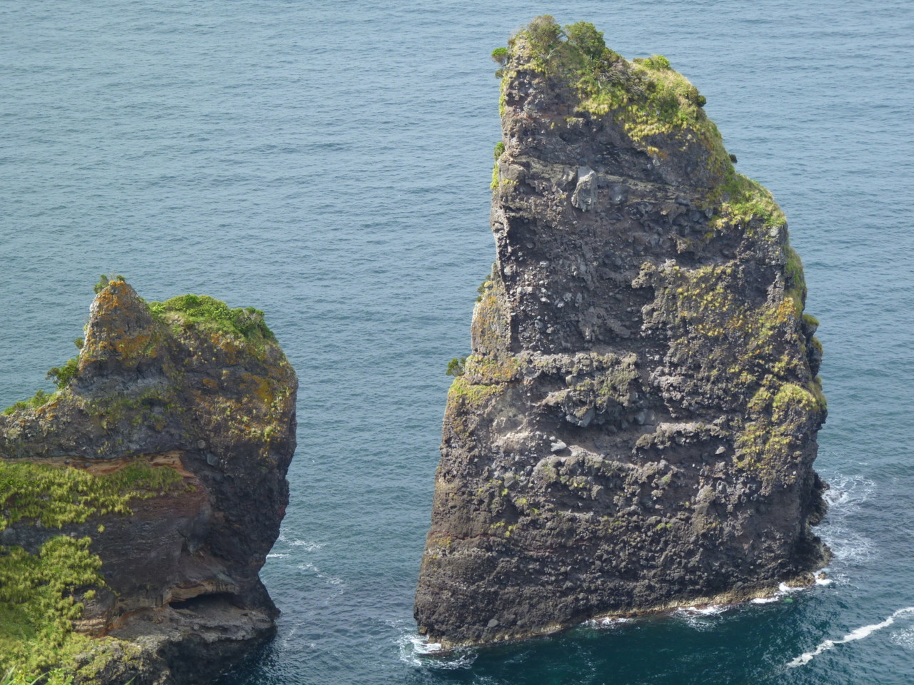 Caimbros, Flores (3).JPG Caimbros, Flores (3).JPG