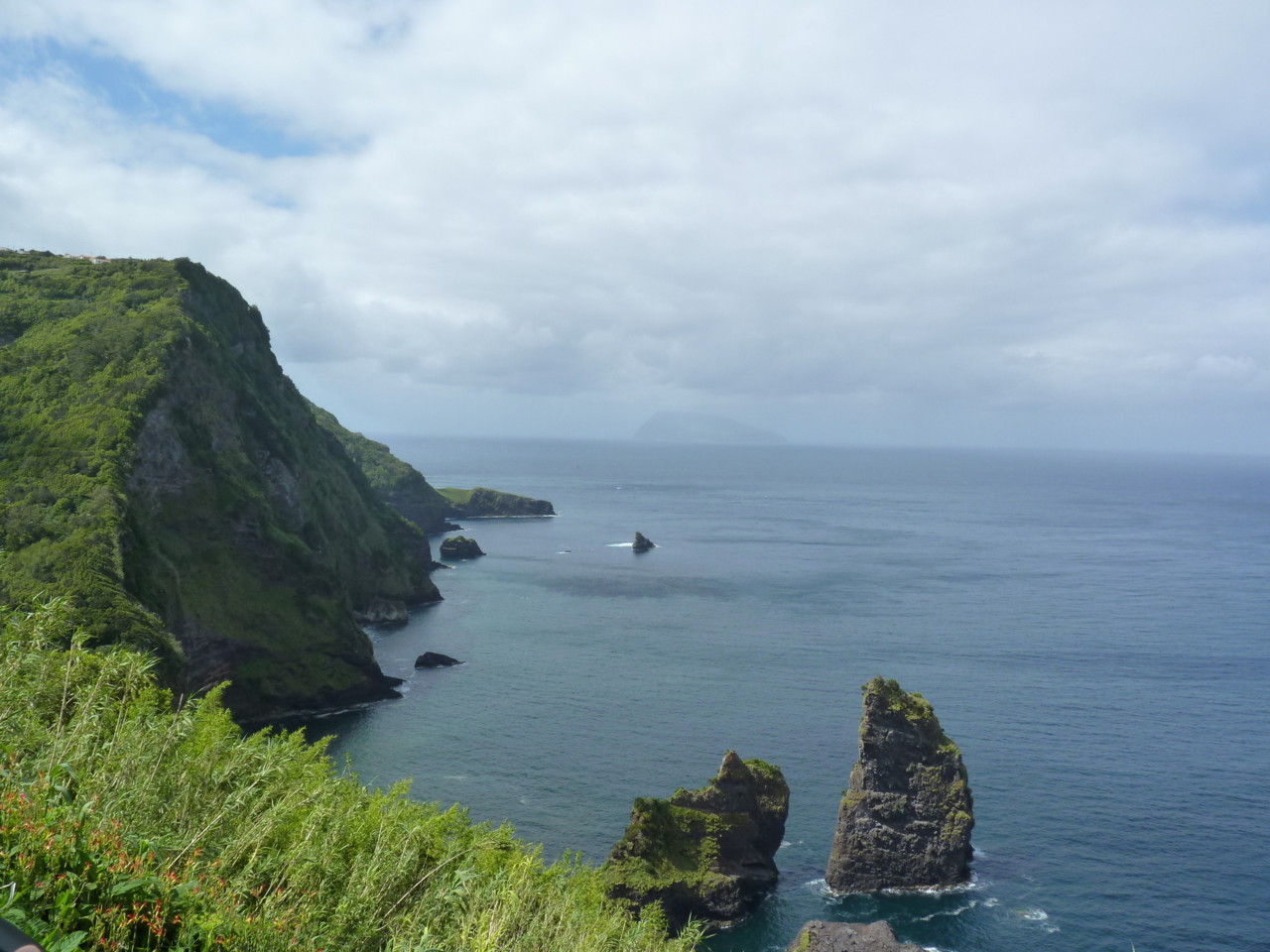 Caimbros, Flores (2).JPG Caimbros, Flores (2).JPG
