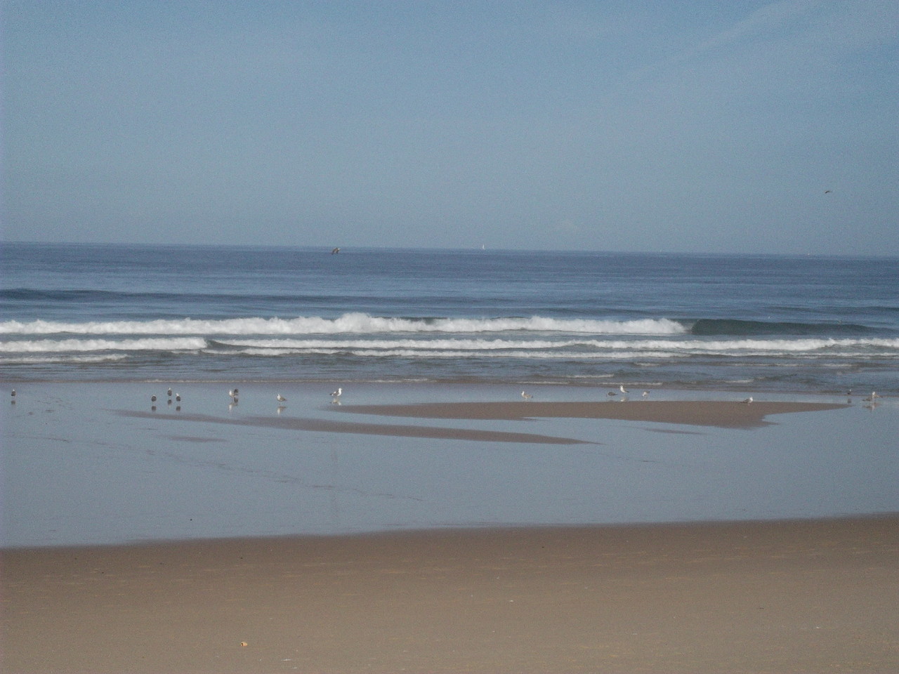 COSTA DA CAPARICA (12).JPG