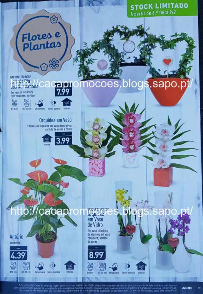 aldi folheto 0_Page19.jpg