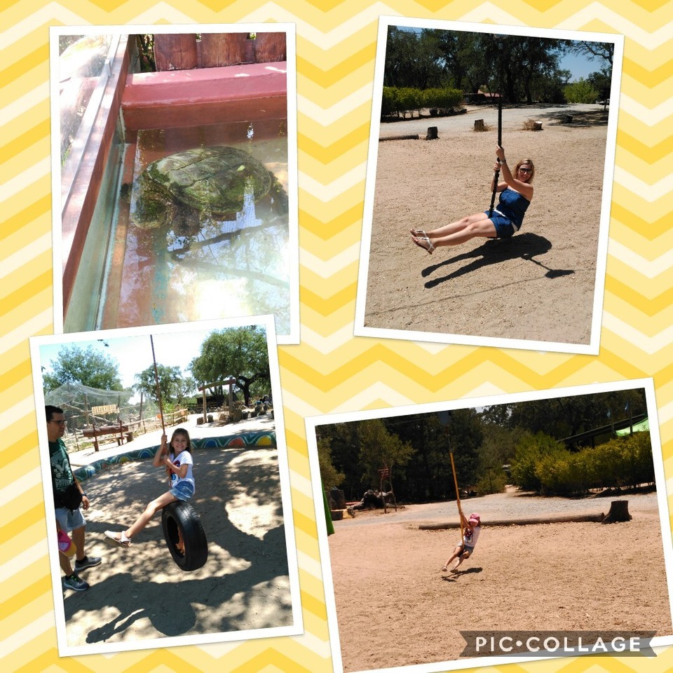 Collage 2017-07-22 23_08_14.jpg