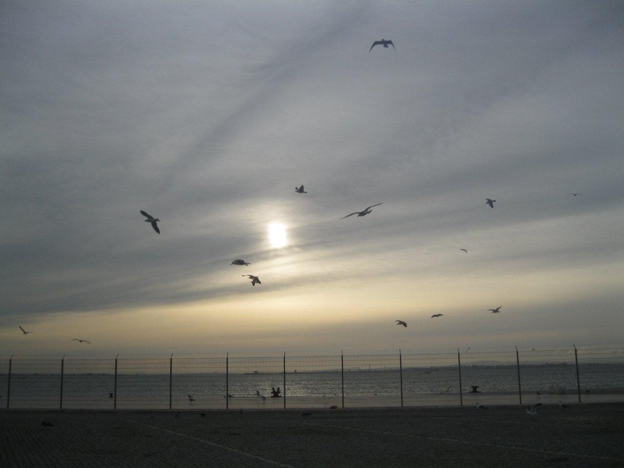 IMG_7016.JPG IMG_7016.JPG