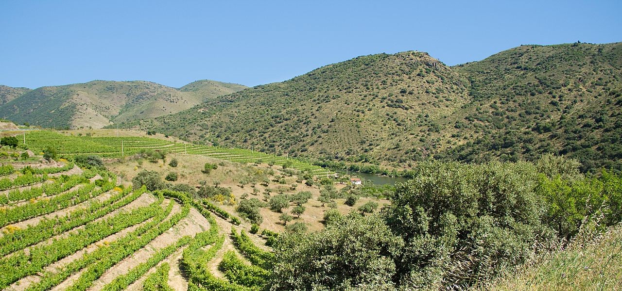 Parque_Natural_do_Douro_Internacional Parque_Natural_do_Douro_Internacional