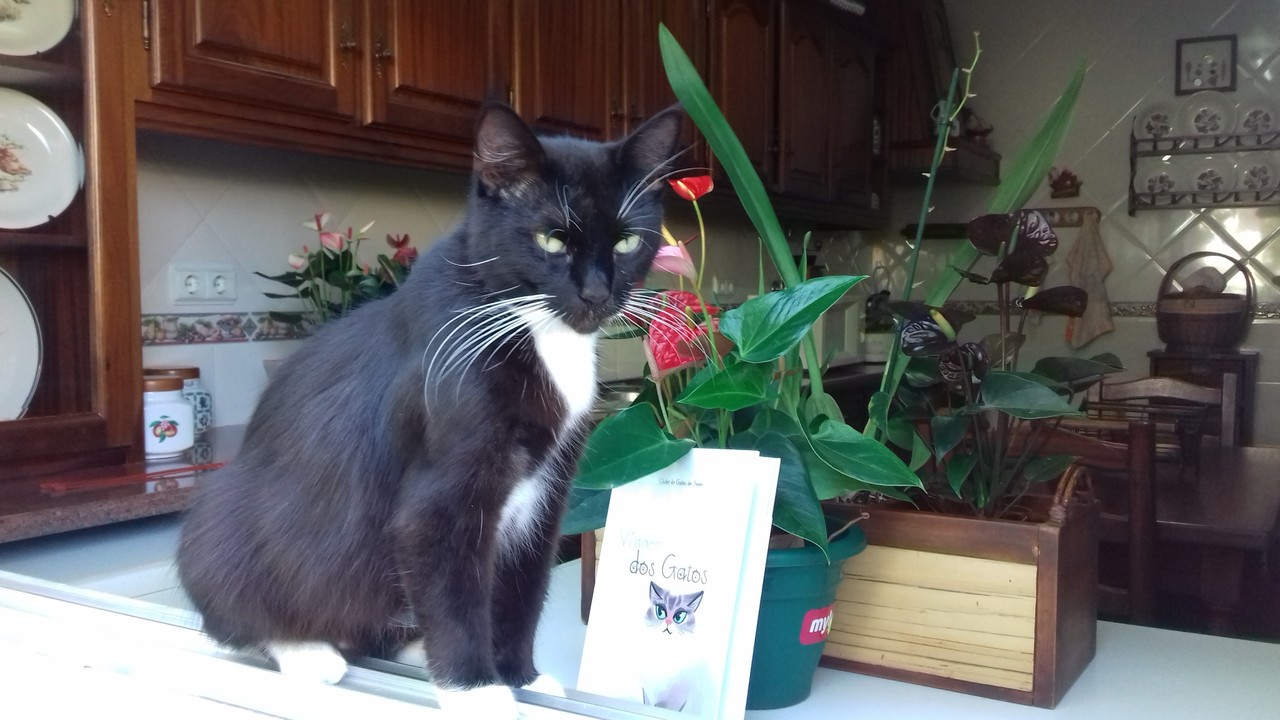 20170730_160018.jpg