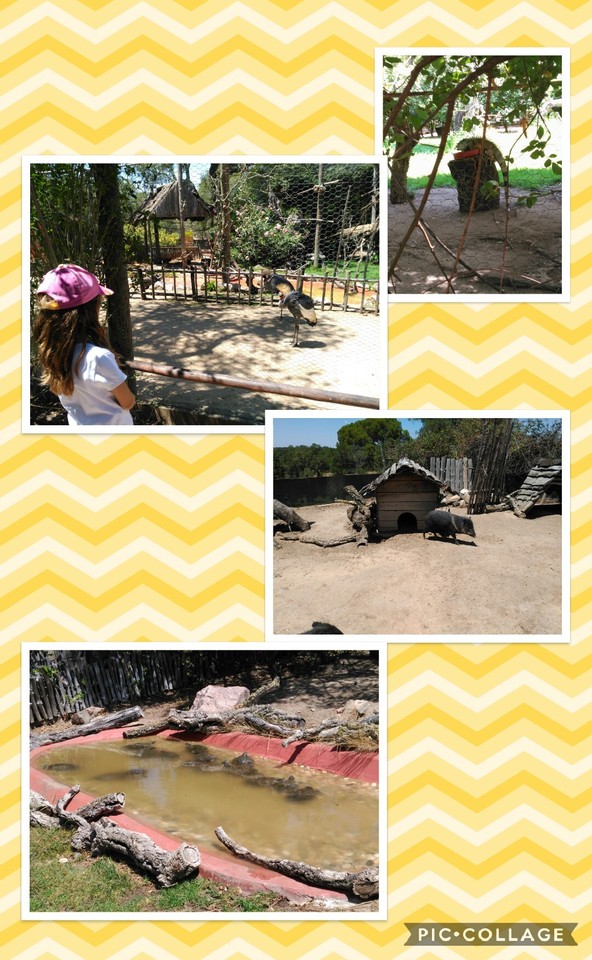 Collage 2017-07-22 23_04_00.jpg