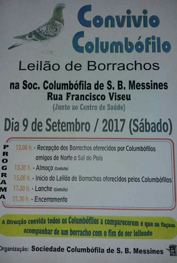 Leilão Messines.jpg