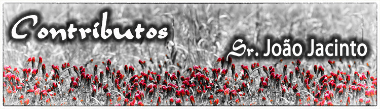 Contributos2014.jpg