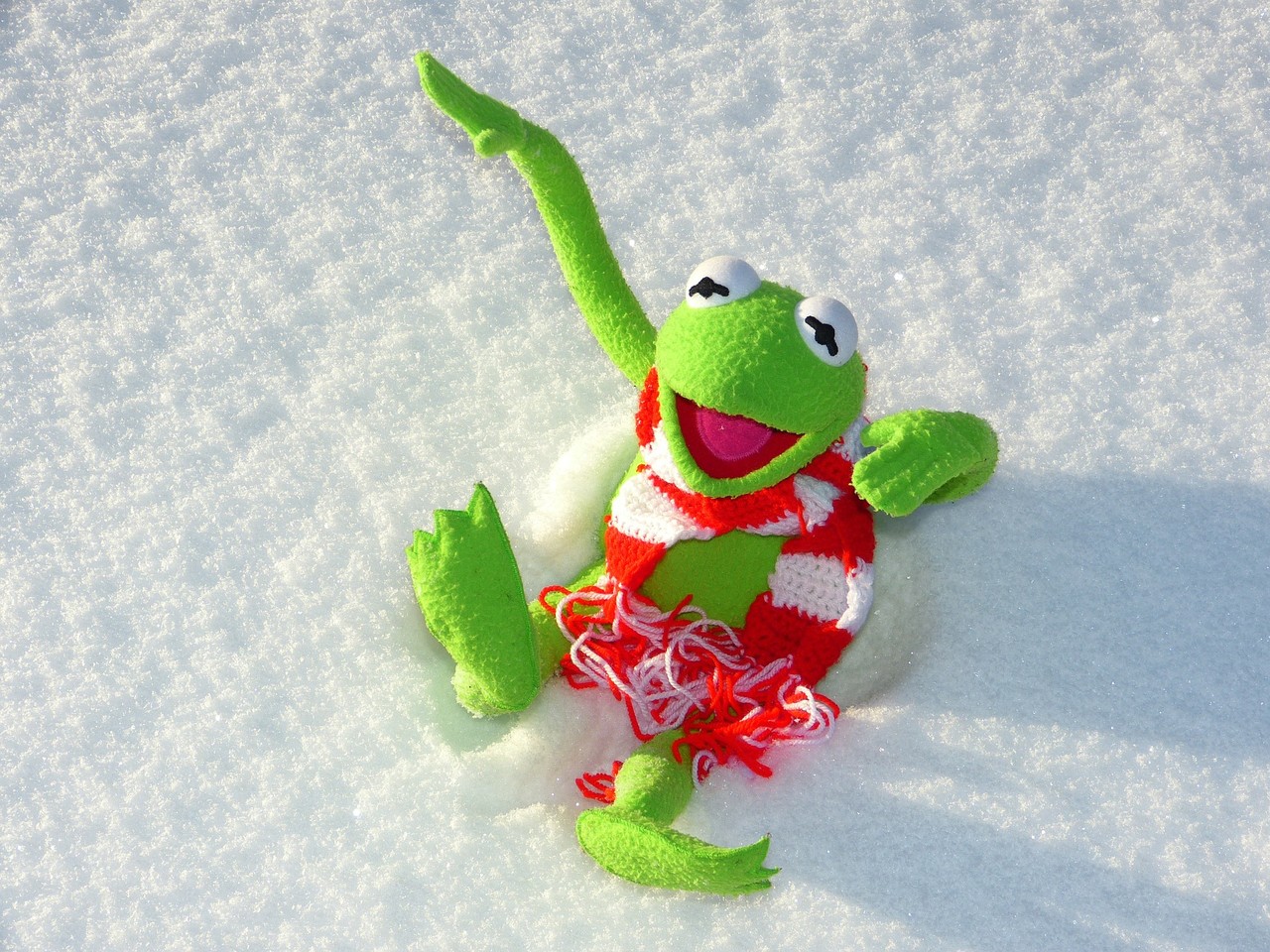kermit-70115_1920.jpg
