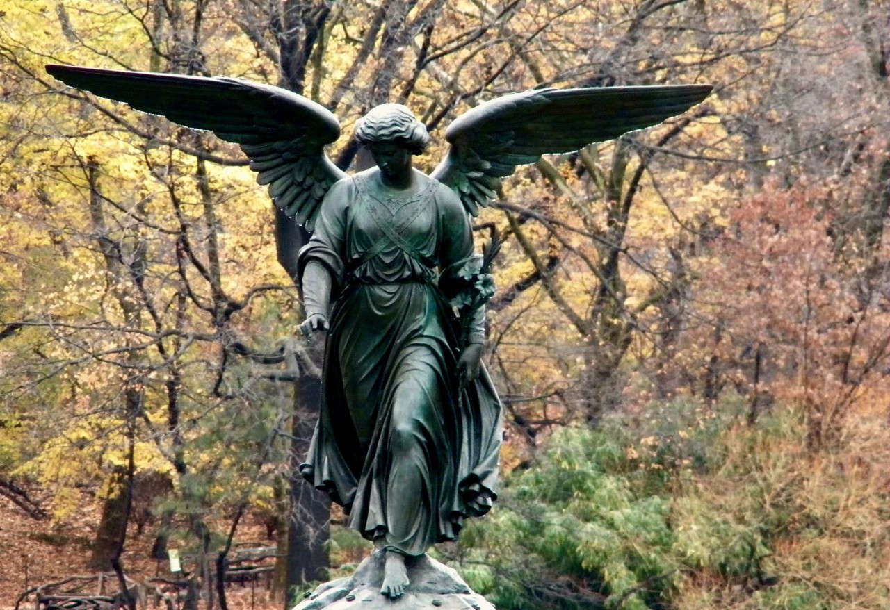 fall_colors_new_york_city.jpg