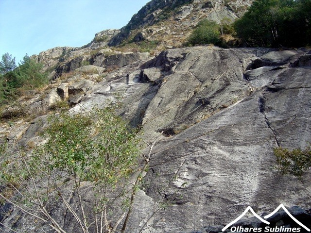 DSC09556.JPG DSC09556.JPG