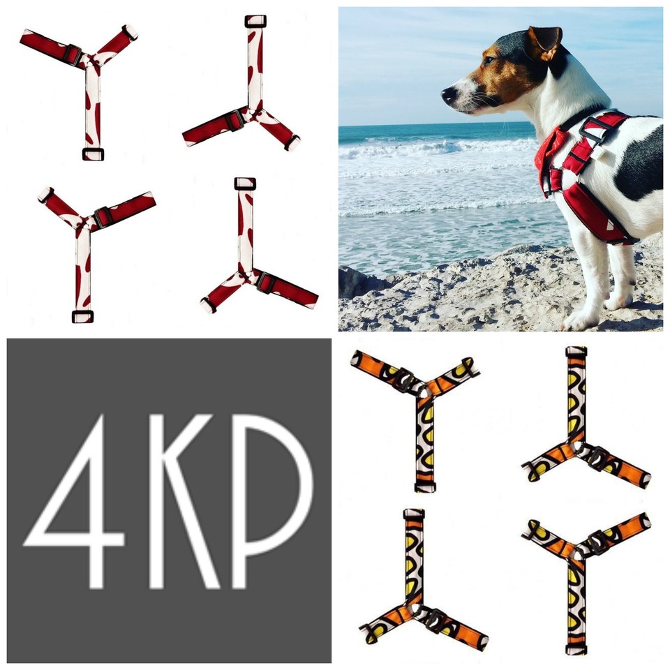 4KP_harness_no_pull.jpg