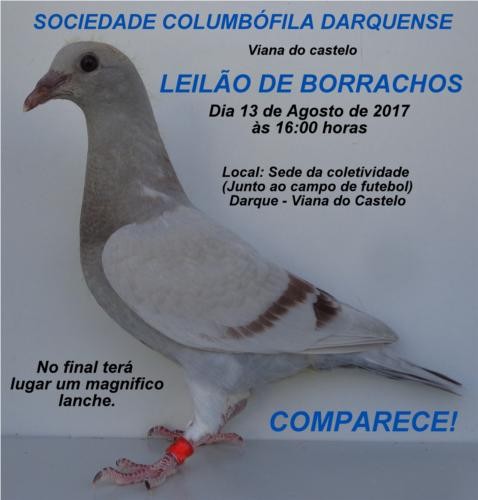 Leilão Darquense.jpg